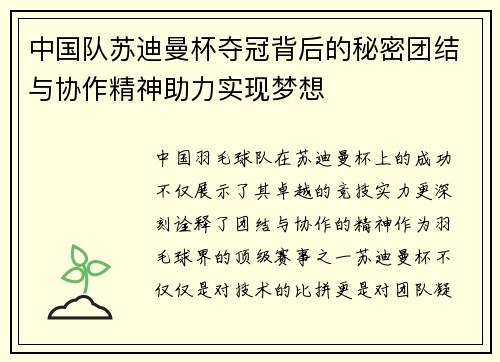 中国队苏迪曼杯夺冠背后的秘密团结与协作精神助力实现梦想